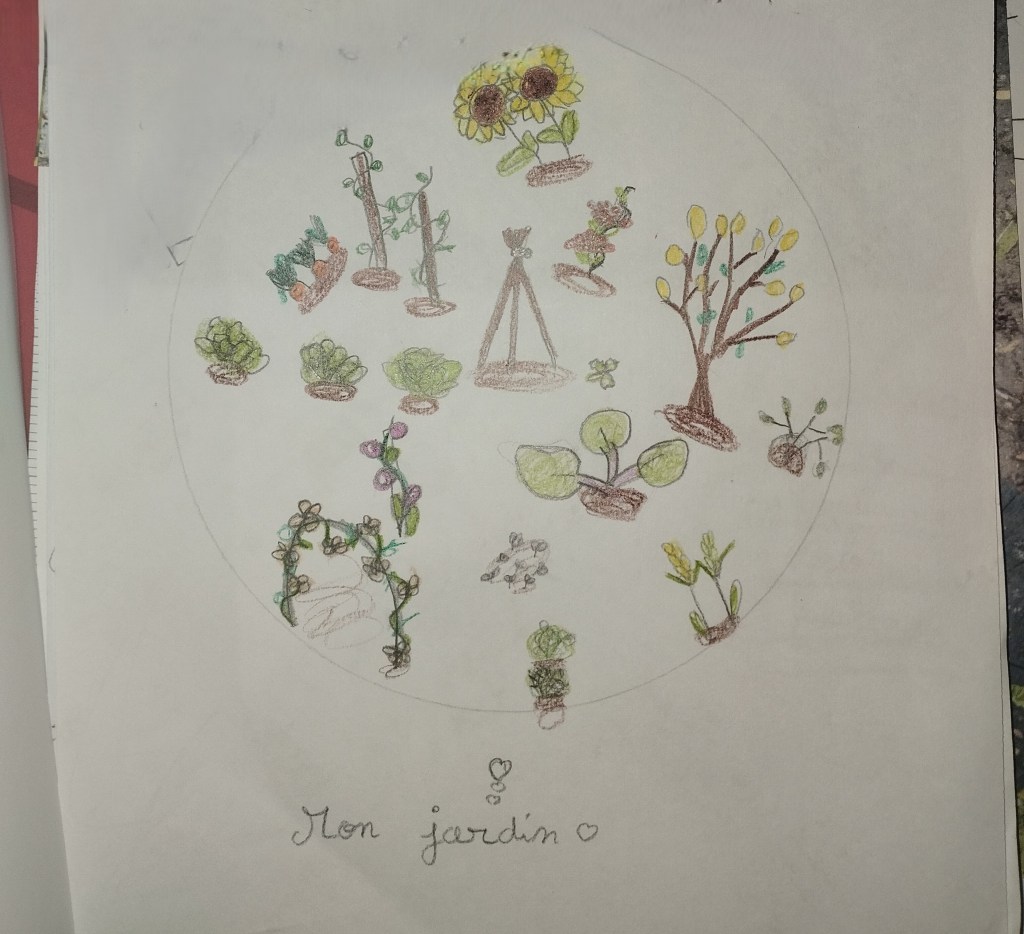 &laquo;&nbsp;Autour des plantes&nbsp;&raquo; : notre jardin&nbsp;mathématique
